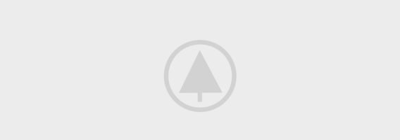 wood-portfolio-placeholder